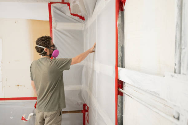 Best Post-Construction Mold Inspection  in Dillon, CO