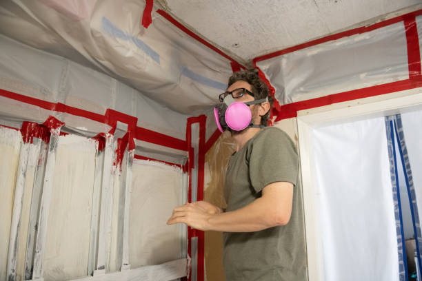Best Mold Documentation for Insurance Claims  in Dillon, CO