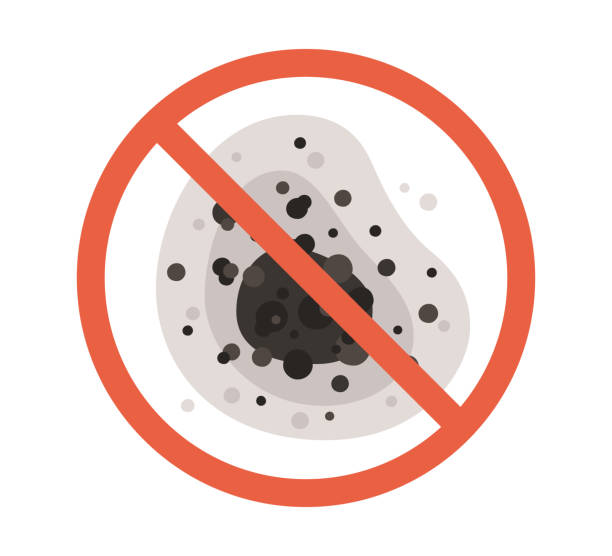 Best Airborne Mold Testing  in Dillon, CO