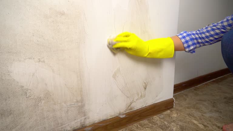 Best Mold Prevention Services  in Dillon, CO
