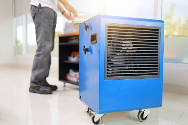Trusted Dillon, CO Mold Removal Experts