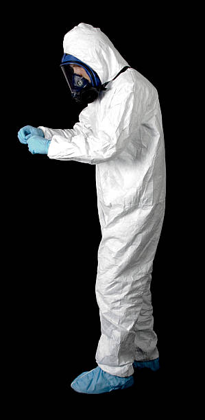 Best Attic Mold Removal  in Dillon, CO